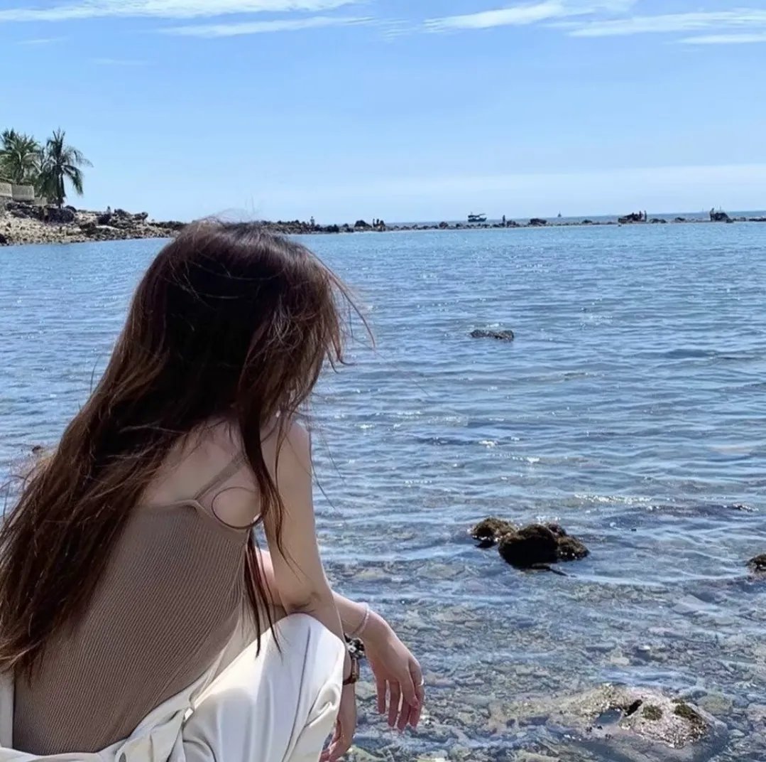 空中浩劫第二十四季